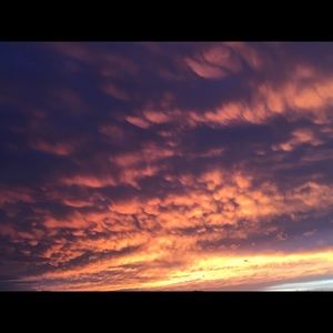 Meet your Posher, Bailey